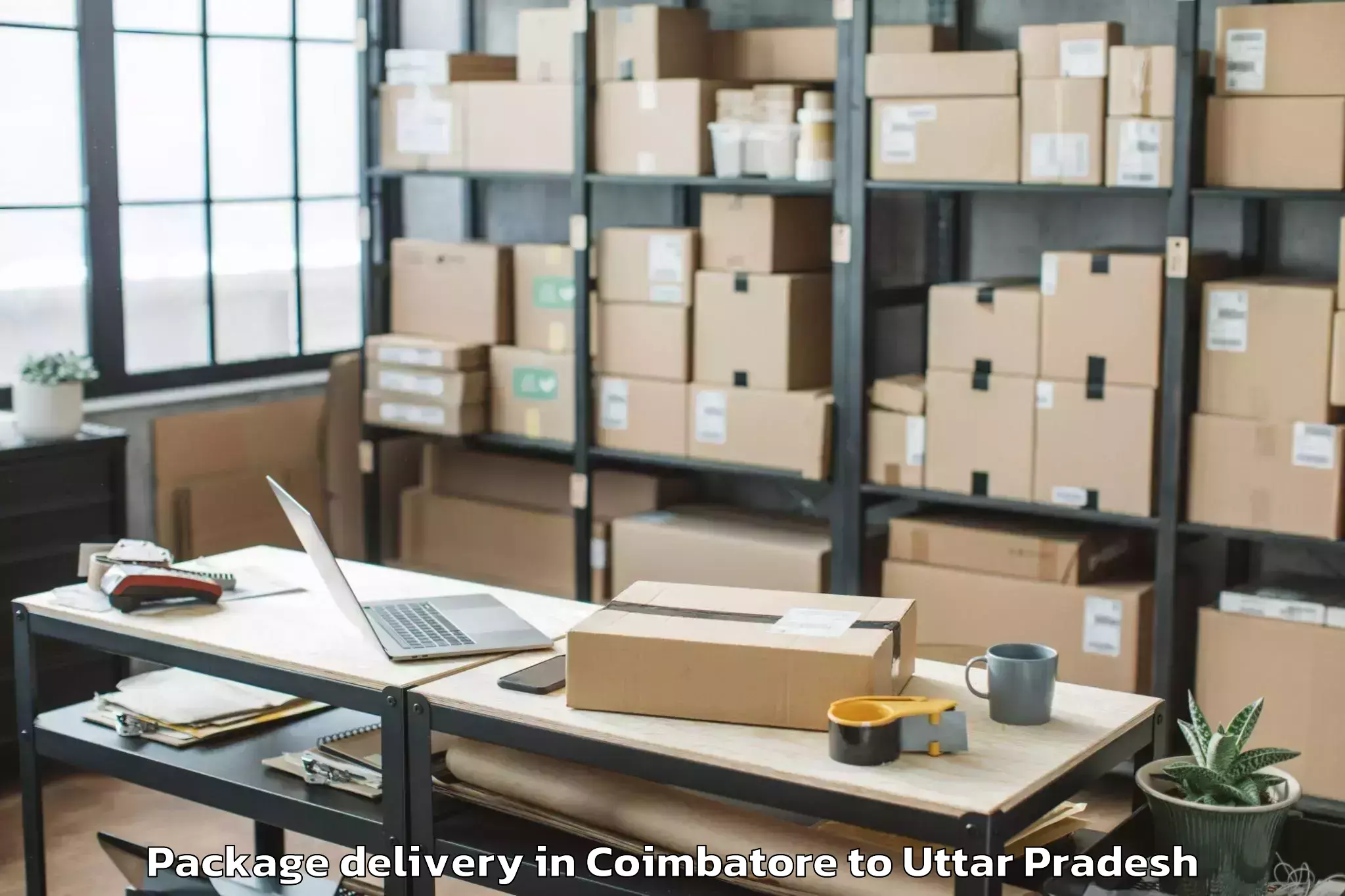 Hassle-Free Coimbatore to Biswan Package Delivery